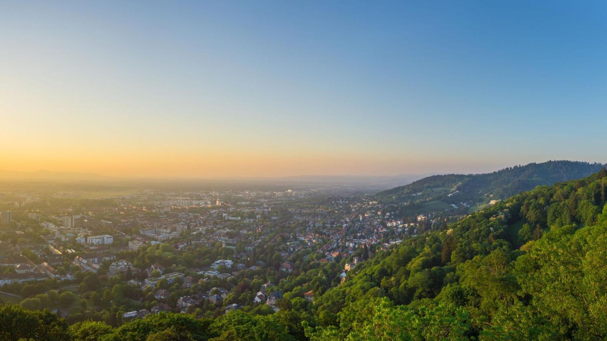 Ferienwohnung Muenster, Sehr Zentral Freiburg im Breisgau Dış mekan fotoğraf