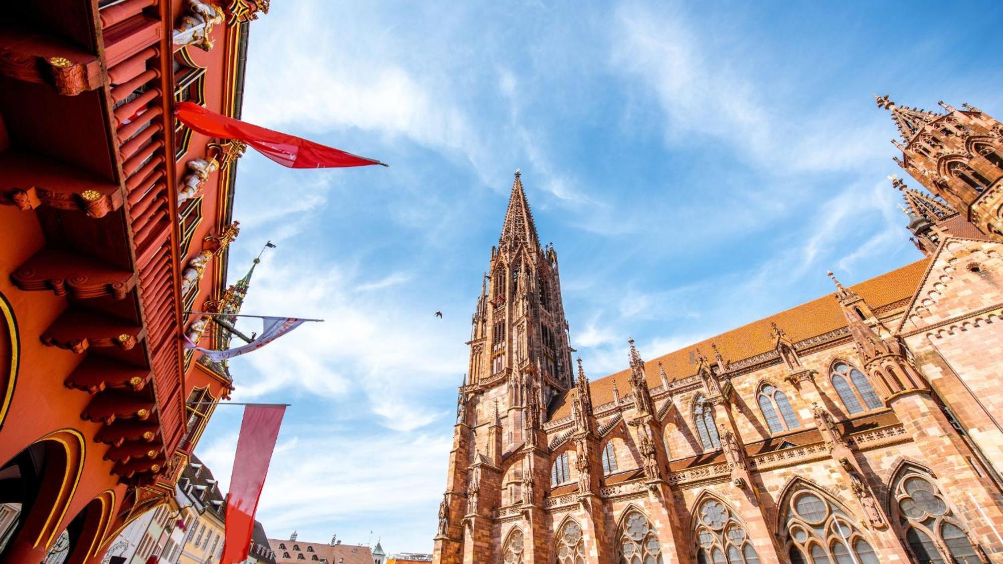 Ferienwohnung Muenster, Sehr Zentral Freiburg im Breisgau Dış mekan fotoğraf