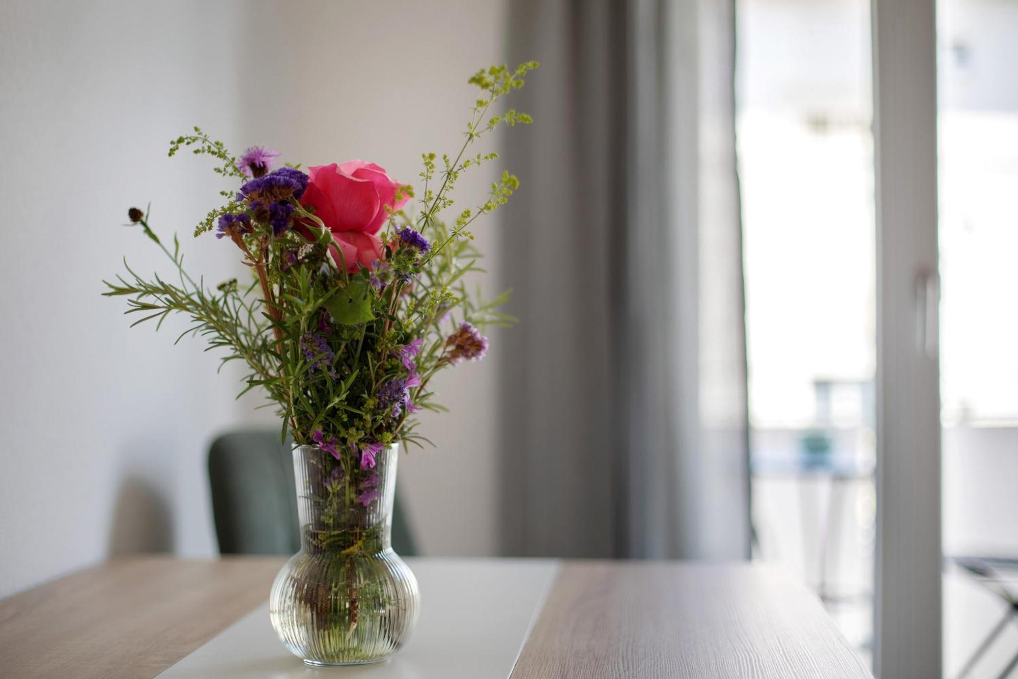 Ferienwohnung Muenster, Sehr Zentral Freiburg im Breisgau Dış mekan fotoğraf
